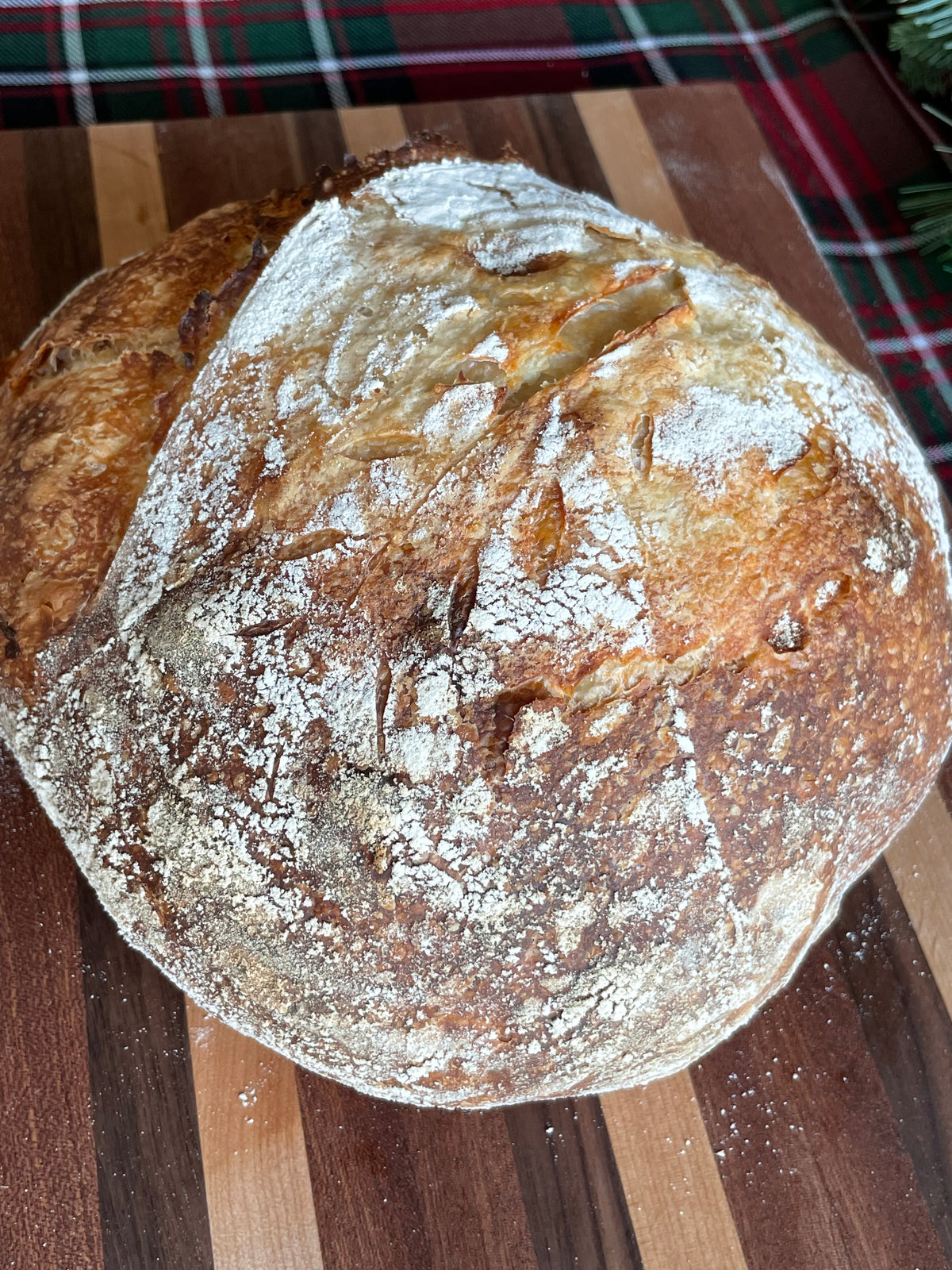 Parmesan Garlic Sourdough